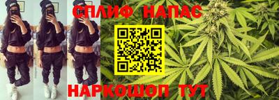 гидропоника Будённовск