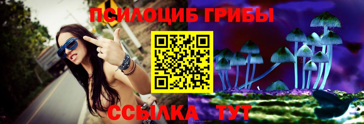 Псилоцибиновые грибы прущие грибы  магазин  наркотиков  Усть-Джегута  Вход с VPN 